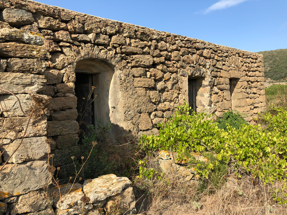 Dammuso-Barone-Vendita-Vista-Immobiliare-Pantelleria